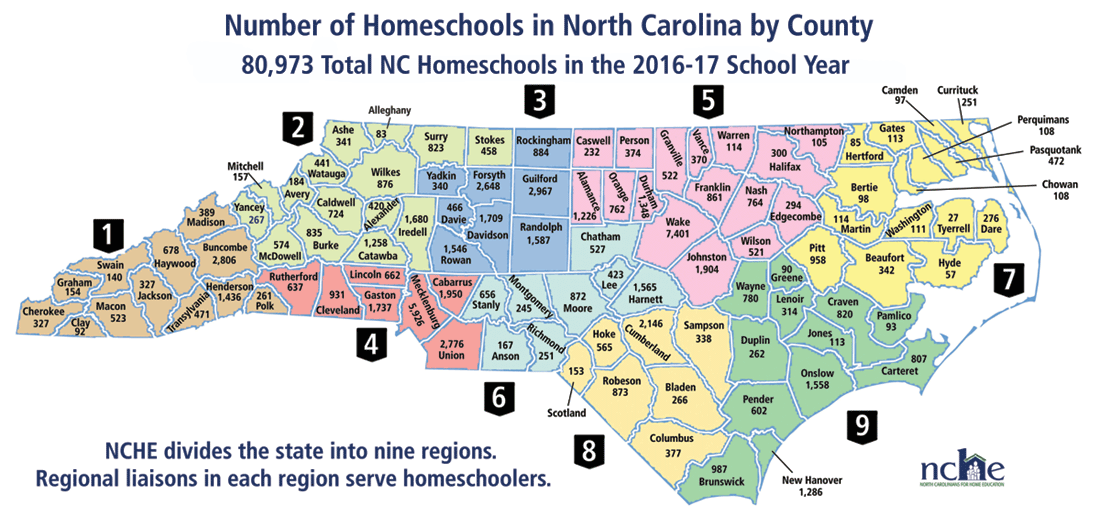 The Homeschooling Movement Of The United States